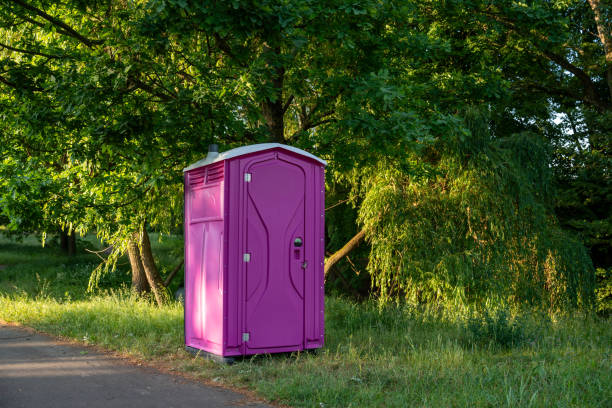 Best Porta potty rental near me  in Rapid City, MI