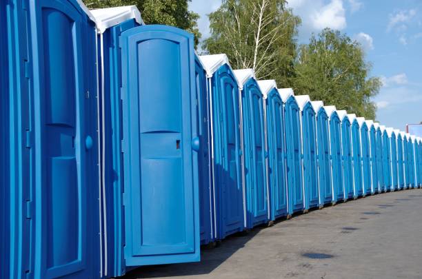 Best Luxury portable toilet rental  in Rapid City, MI